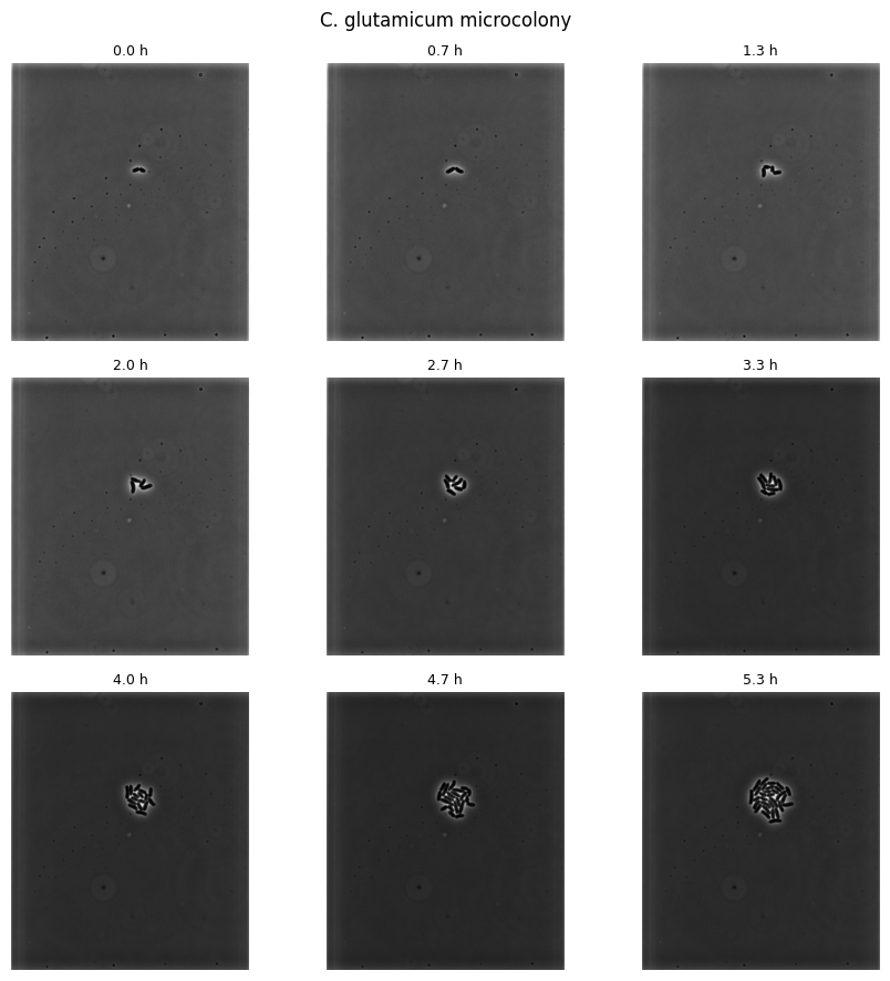 ../_images/98225a0ccb3dfdac3325f107e1715c786dda37c5fa5a9f7c520c1a9b6a4e34ff.png